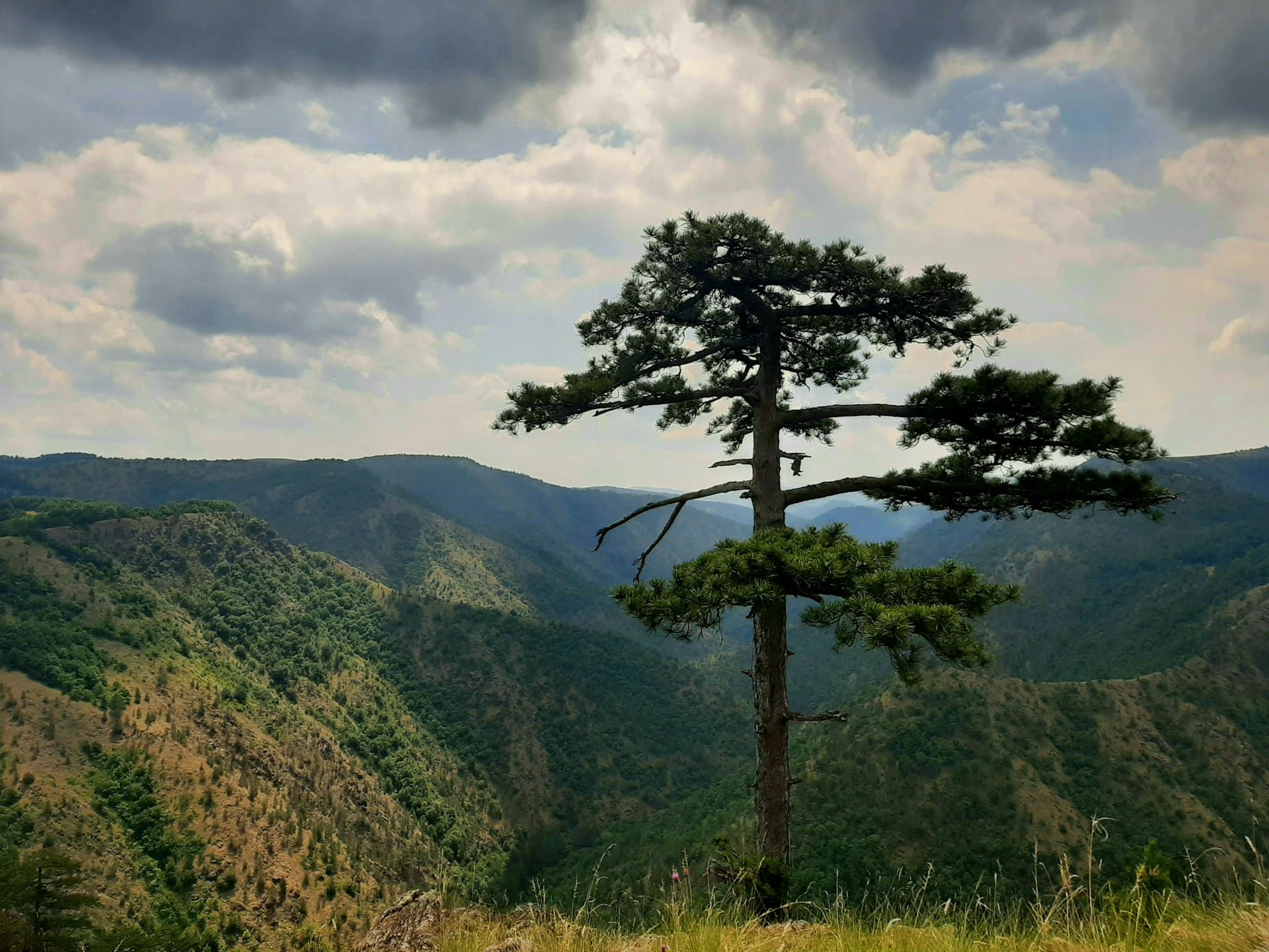 Transfer Belgrade to Zlatibor